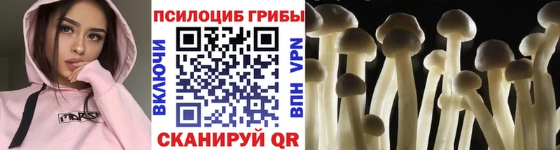 OMG   Губкин  Псилоцибиновые грибы ЛСД 